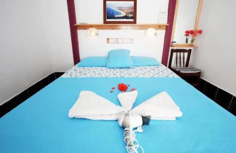 Rose Pension - 81