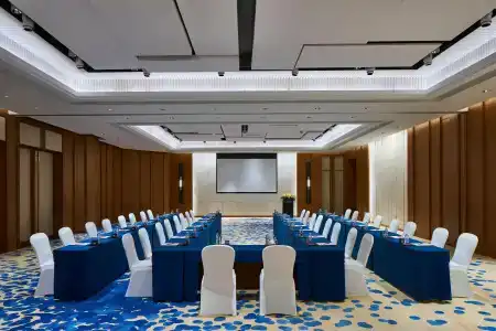 Crowne Plaza Sanya Haitang Bay Resort, An Ihg - 25