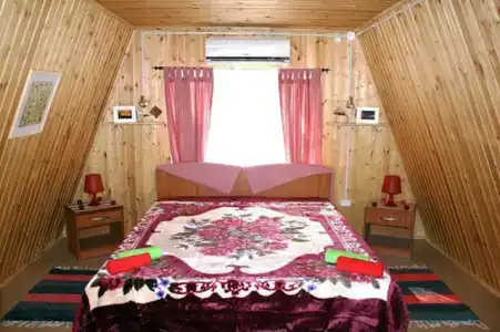 Южная Пальмира - 1