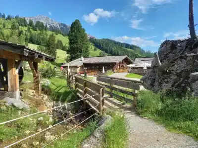Urlaubsland Sonnfeld - 15