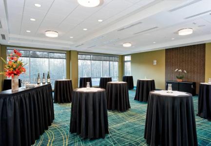 SpringHill Suites by Marriott - 13