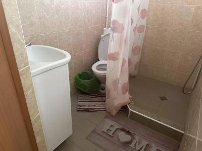 Лев - 8