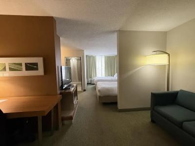 SpringHill Suites by Marriott - 32