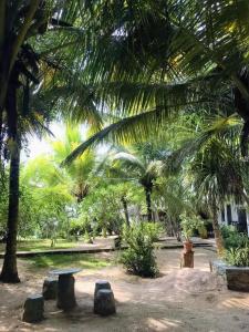 Harmony Beach Bungalows - 24