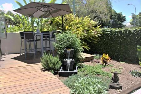 Noosa River Palms - 250