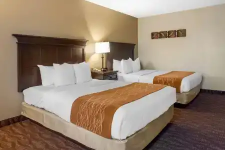Comfort Inn at Thousand Hills - 68