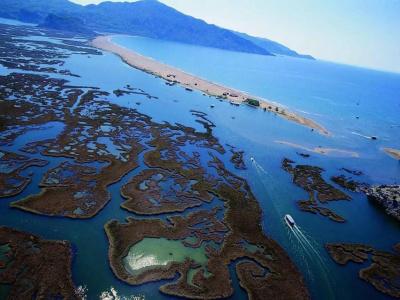 Palme Dalyan - 10