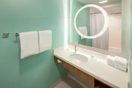 SpringHill Suites by Marriott Orlando at SeaWorld - 45
