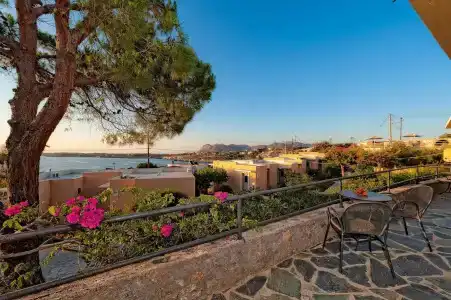 Creta Vitalis - 21