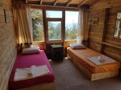 Shiva Camp - 0