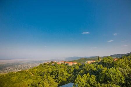 Boutique BelleVue - 48