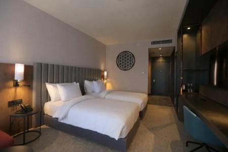 Crowne Plaza - Crowne Plaza Ankara, An Ihg - 19