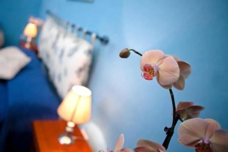 b&b Dimora San Vincenzo - 41