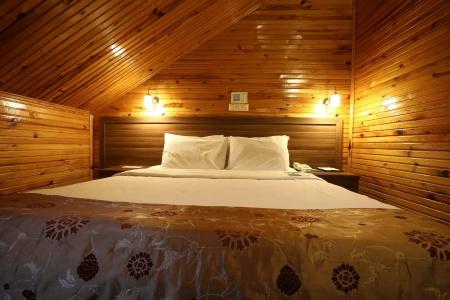Dedeman Palandoken Resort - 2