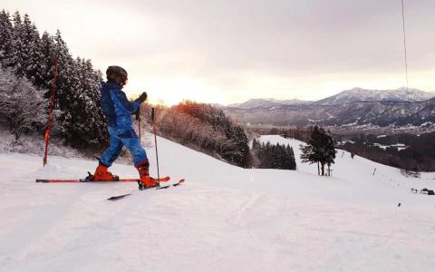 Address Nozawa - 26