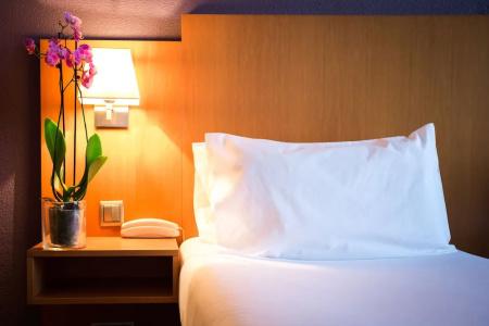 Quality Hôtel Christina Lourdes - 73