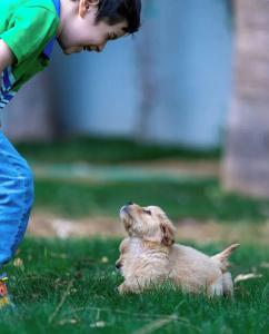 Alados Otel - 25