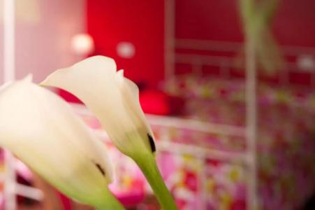 Antico Granaione - 30