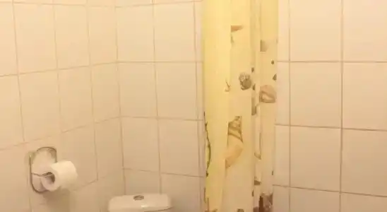 Веста - 8
