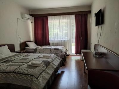 EcoRest - Likani Palace - 58