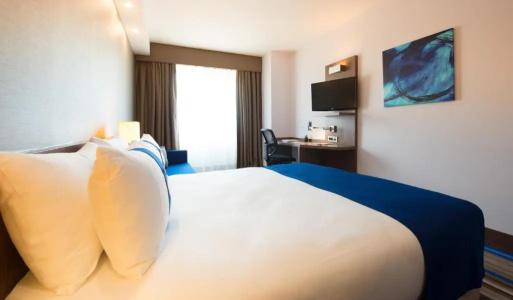 Holiday Inn Express Istanbul Airport, An Ihg - 52