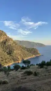 Olive Garden Kabak - 59