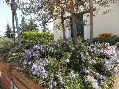 Residence Terra Dei Santi Country House - 71