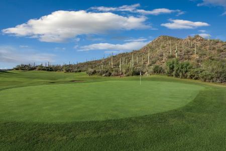Starr Pass Golf Suites - 41