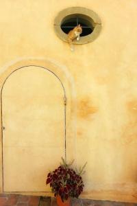 Santa Maria a Poneta - 10