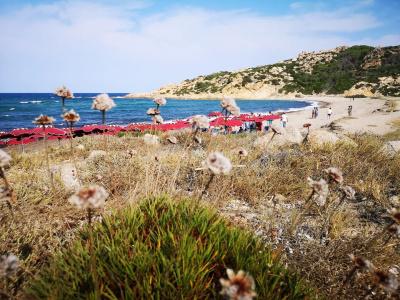 Club Esse Gallura - 19