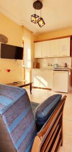 Palmen Apart - 50