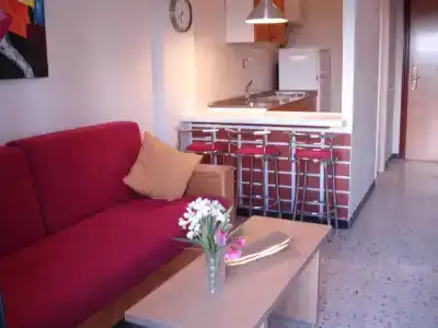 Apartamentos Los Ficus - 34
