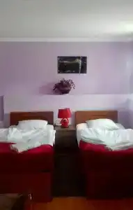 Нино Хетагури - 1