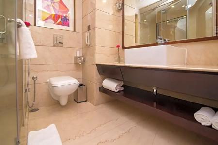 Shakuns And Resorts - 19