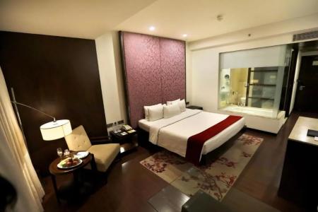 Royal Orchid Jaipur, 3 Kms to Airport - 34