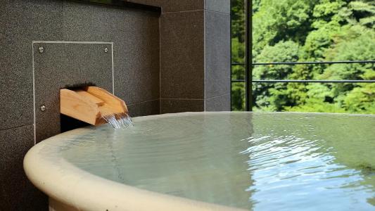 Arima Onsen Gekkoen Korokan - 16
