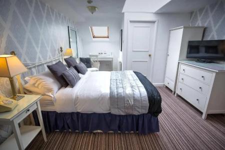 The Ascott - 52