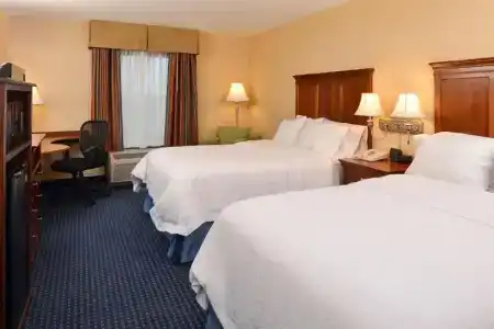 Hampton Inn and Suites South - 50