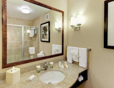 Hilton Garden Inn Airport - 42