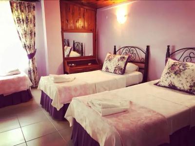 Maviev Otel - 5