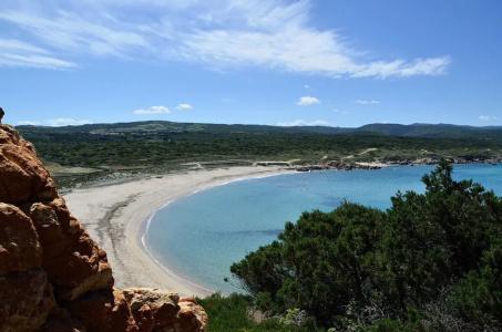 Palau City - 14