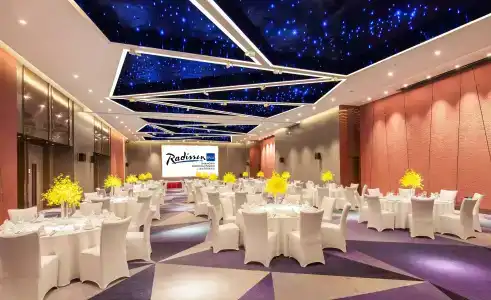Radisson Blu Shanghai Pudong Jinqiao - 17