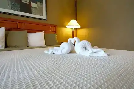 Crusader Oceanfront - 36