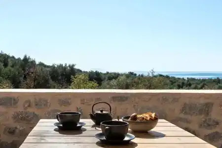 The Olive Yard - 25