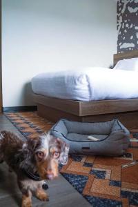 The Ridgeline,, Ascend Collection - 108