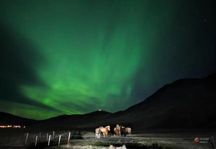 Efri-Vík Bungalows - 17