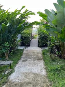 Tanya Baan Bon Doi - 50