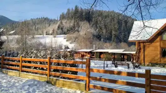 Закрут - 44