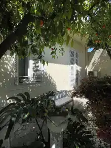 Nice Garden - 42