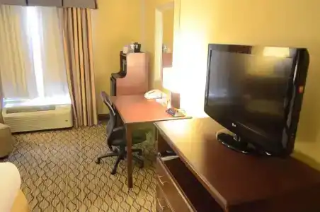 Holiday Inn Express & Suites Houston-Downtown Convention Center, An Ihg - 35